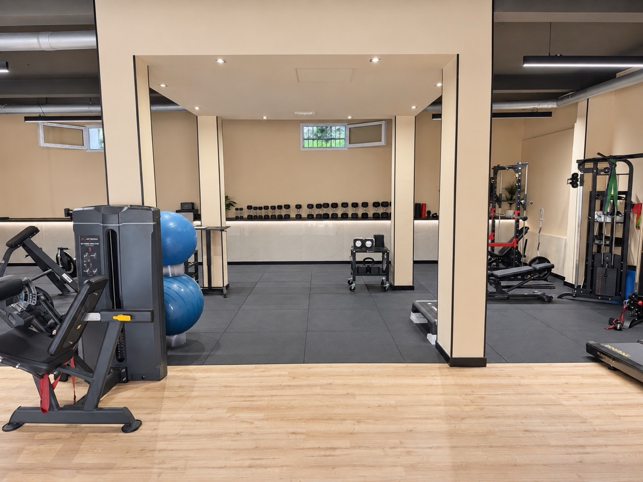Sala principal de VIFIT